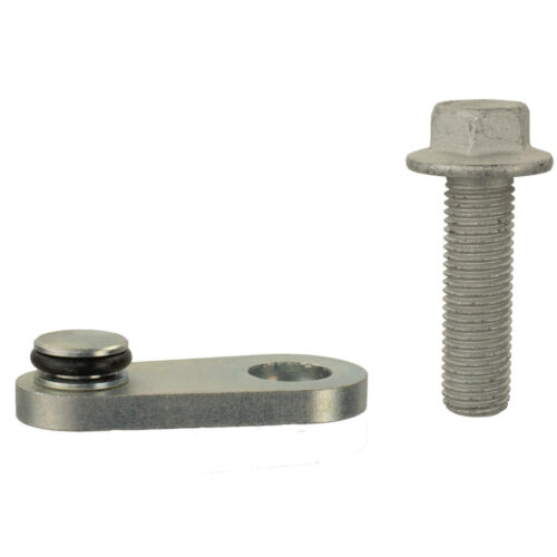 Ford Performance M-6026-23BSBP Balance Shaft Block-Off Plug for 2015-2023 Ford Mustang EcoBoost