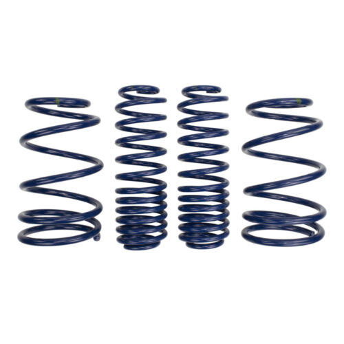 Ford Performance M-5300-L Springs for 2008-2014 Ford Mustang