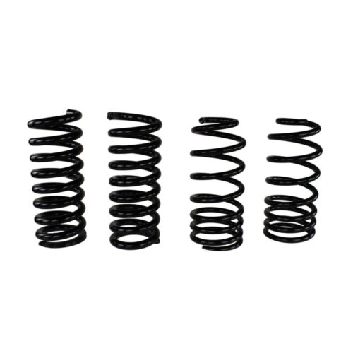 Ford Performance M-5300-C Front/Rear Spring Kits for 1979-2004 Ford Mustang