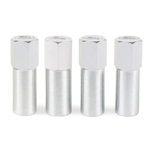 Ford Performance 302-315 Valve Cover Hold Down Mini-Nuts Chrome Finish