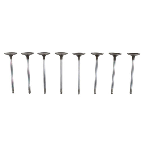 Ford Performance M-6507-M52 Intake Valve Light Weight 5.2L Coyote Quantity 8 for 2015-2017 Ford Mustang Shelby GT350