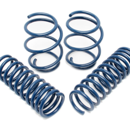 Dinan for 00-03 BMW M5 (E39) Performance Spring Set