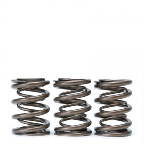 Alternative view of Skunk2 Tuner Series Honda/Acura (H22A/F20B) DOHC VTEC Alpha Valve Spring Set (Dual Springs)