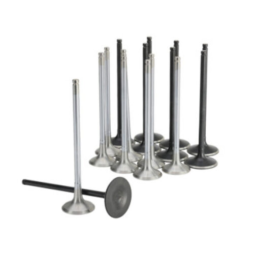 Skunk2 Honda K20C1 Alpha Series Intake & Exhaust Valve Set (Standard Compression) - Image 2