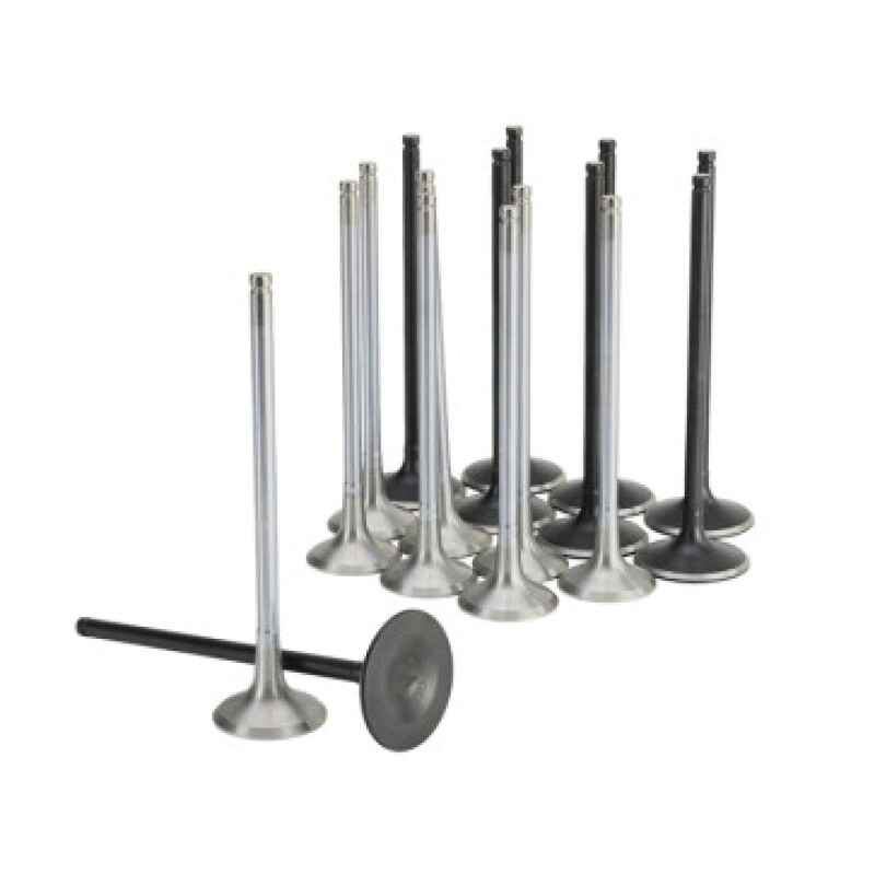 Skunk2 Honda K20C1 Alpha Series Intake & Exhaust Valve Set (Standard Compression) - Image 2