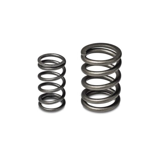 Skunk2 Tuner Series Honda/Acura (B16A/ B17A/ B18C) DOHC VTEC Alpha Valve Spring Set (Dual Springs) - Image 6