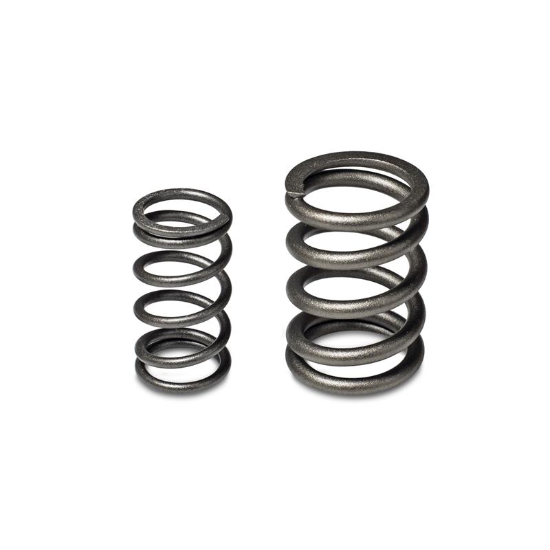 Skunk2 Tuner Series Honda/Acura (B16A/ B17A/ B18C) DOHC VTEC Alpha Valve Spring Set (Dual Springs) - Image 6