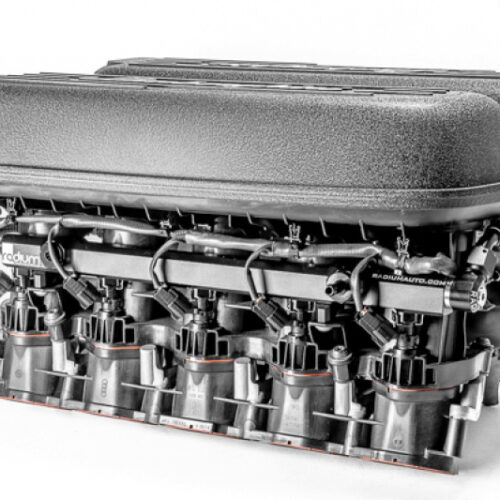 Radium Engineering Fuel Rail Plumbing Audi R8 Lamborghini Huracan - Image 3