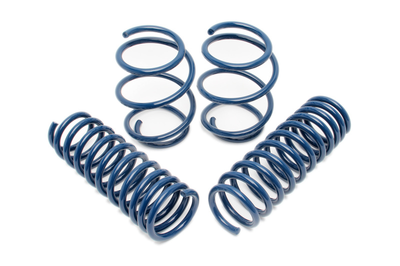 Dinan for 06-10 BMW M5 (E60) Performance Spring Set
