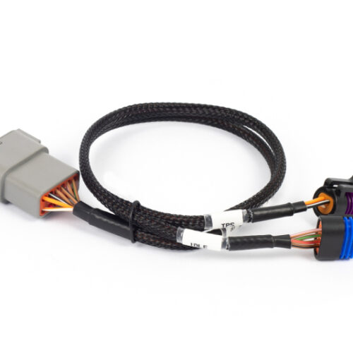 Alternative view of Haltech NEXUS Rebel LS Cable Throttle & IAC Sub-Harness