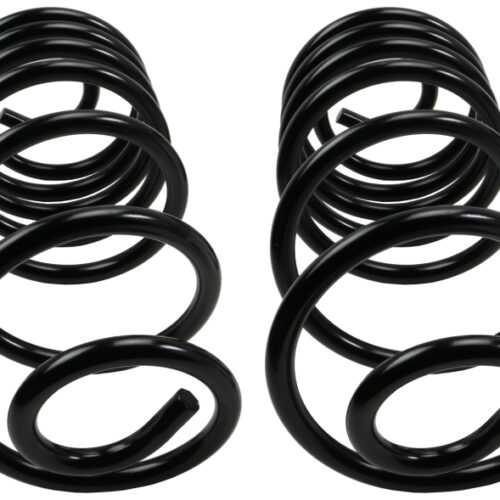 MOOG 78-81 Buick Century Rear Coil Springs