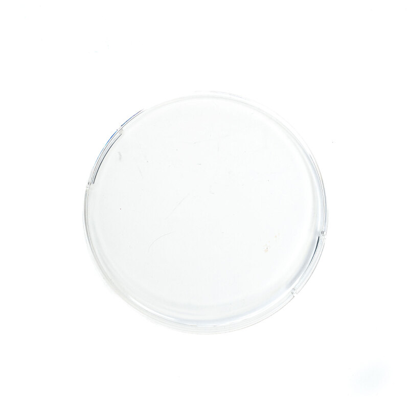 Baja Designs Squadron-R 2.0 Rock Guard (Single) - Clear
