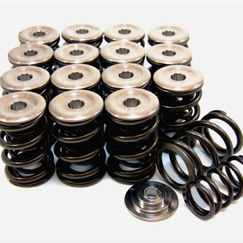 GSC P-D Honda B-Series Vtec Dual Spring Set and Titanium Retainer