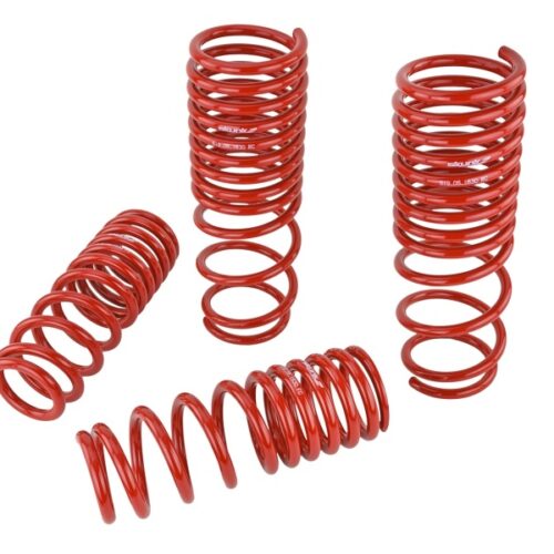 Alternative view of Skunk2 90-97 Honda Accord (All Models) Lowering Springs (2.00in. - 1.80in.) (Set of 4)