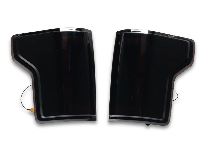 Raxiomfor 2015-2020 Ford F-150 LDS Series LED Tail Lights- Black Housing- Clear Lens
