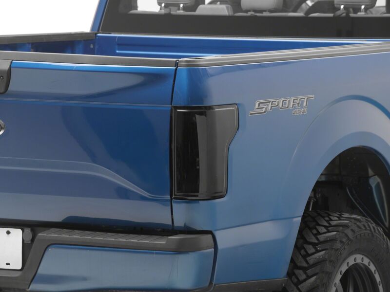 Raxiomfor 2015-2020 Ford F-150 LDS Series LED Tail Lights- Black Housing- Clear Lens - Image 5