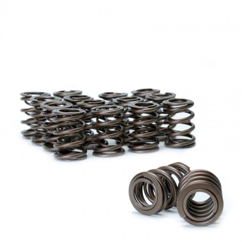 Skunk2 Tuner Series Honda/Acura (B16A/ B17A/ B18C) DOHC VTEC Alpha Valve Spring Set (Dual Springs) - Image 2
