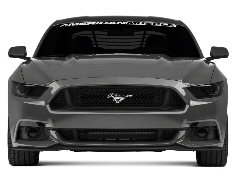 Raxiom for 2015-2017 Ford Mustang Axial Series Switchback Turn Signal Conversion Kit - Image 3