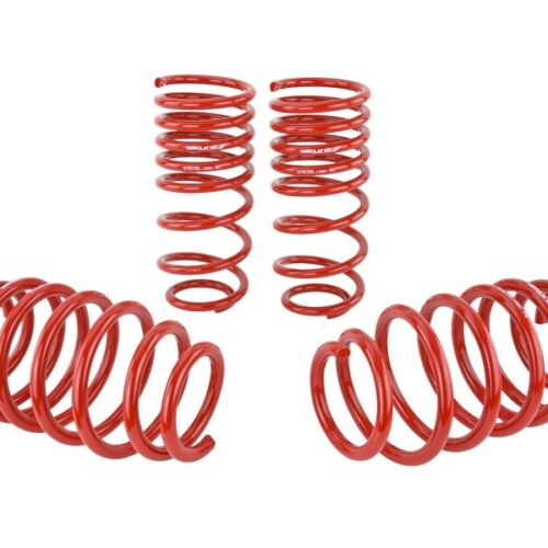 Skunk2 06-11 Honda Civic Lowering Springs (2.25in - 2.00in.) (Set of 4) - Image 5