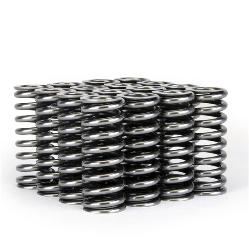 Skunk2 Alpha Series Honda D Series VTEC Valve Spring Set - Image 7
