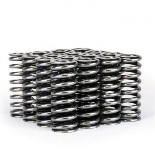 Alternative view of Skunk2 Alpha Series Honda D Series VTEC Valve Spring Set