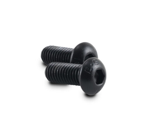 Vibrant M8 x 1.25 x 20mm Screws for Oil Flanges (Pack of 2)