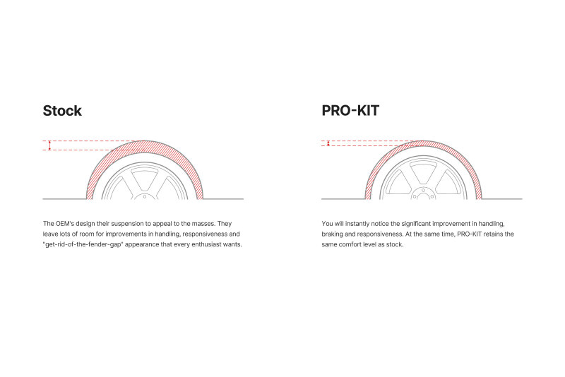 Eibach Pro-Kit EV for 24-25 Tesla Model Y RWD