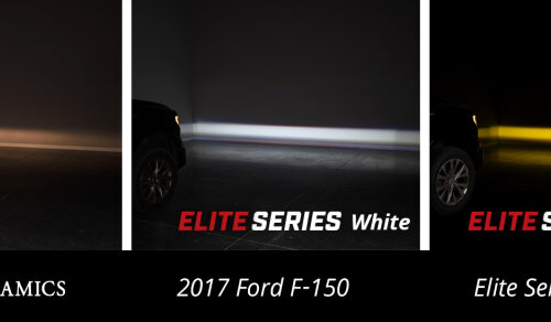 Diode Dynamics Elite Foglamp Type F2 - White (Pair)