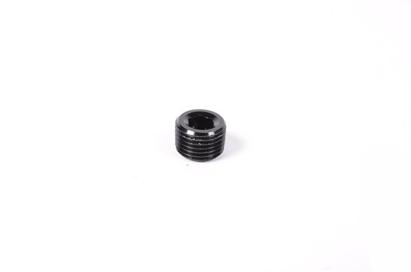 Radium Engineering 1/8in NPT Plug - Image 2
