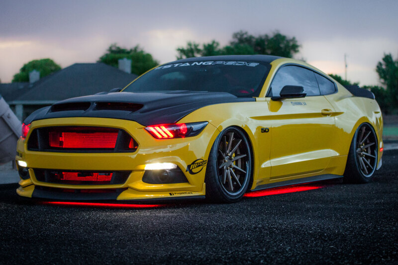 Diode Dynamics RGBW Multicolor Underglow LED Kit - Image 5