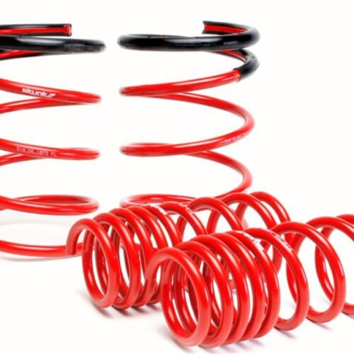 Skunk2 02-04 Acura RSX Lowering Springs (2.25in - 2.00in.) (Set of 4)