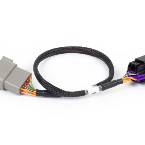 Alternative view of Haltech NEXUS Rebel LS 8-Pin DBW Adaptor