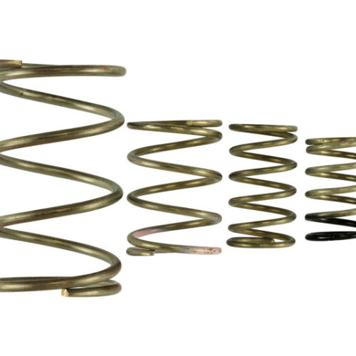 Turbosmart TS-0550-3150 Gen V WG38/40 Spring Replacement Kit