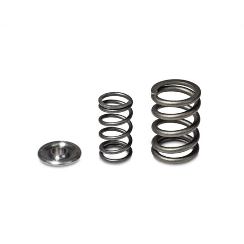 Alternative view of Skunk2 Alpha Series Honda/Acura H Series Valve Spring and Titanium Retainer Kit