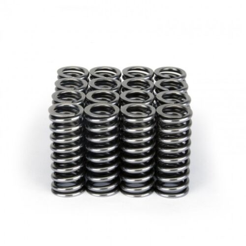 Skunk2 Alpha Series Honda D Series VTEC Valve Spring Set - Image 3