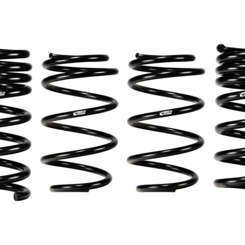 Eibach 24+ Ford Mustang GT Coupe 5.0L RWD S650 Performance Pack w/ Magneride