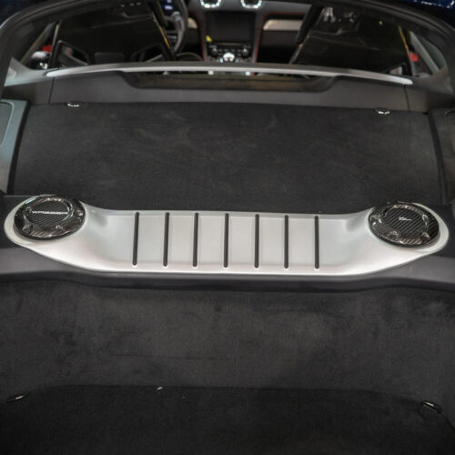 Porsche Cayman Carbon Fiber Oil & Water Caps - Image 9