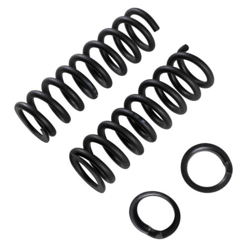 Alternative view of ARB OME Front Coil Spring Set