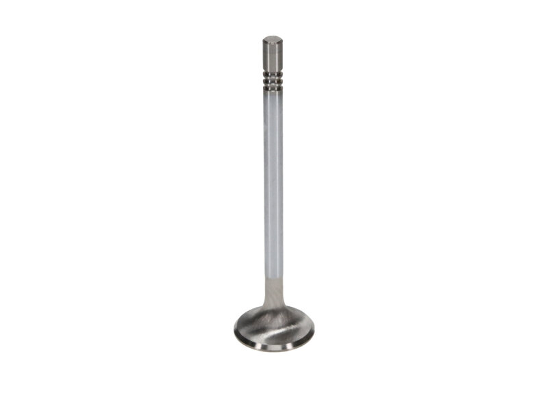 Manley Ford GT350 Voodoo 5.2L Race Master Series Exhaust Valve Set - 1.280in Dia - Image 3
