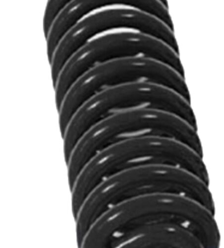 Fabtech 99-00 Ford F250/350 2WD Gas/6.0L Diesel 6in Coil Spring Kit