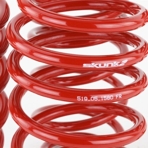 Skunk2 06-11 Honda Civic Lowering Springs (2.25in - 2.00in.) (Set of 4) - Image 6