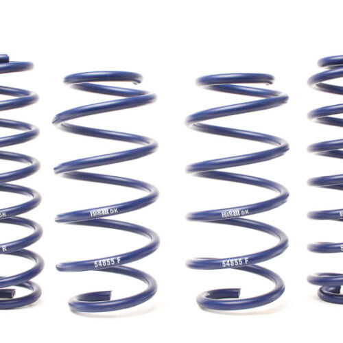 H&R 19-25 Toyota RAV4 (not Incl. Hybrid) Adventure Raising Spring