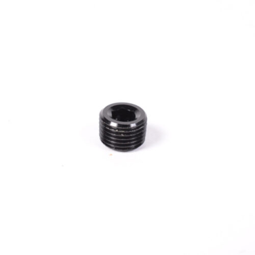 Radium Engineering 1/8in NPT Plug