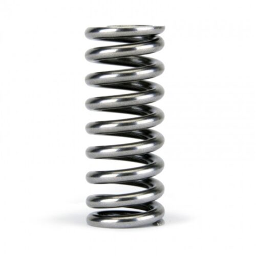 Skunk2 Alpha Series Honda D Series VTEC Valve Spring Set - Image 4
