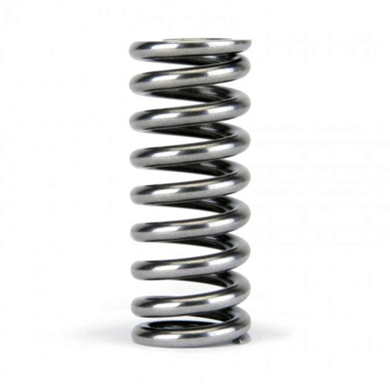 Skunk2 Alpha Series Honda D Series VTEC Valve Spring Set - Image 4