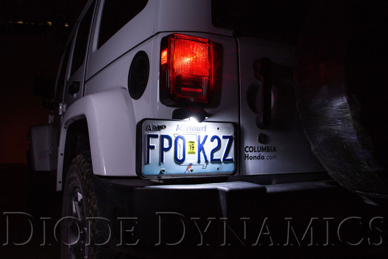 Diode Dynamics 194 LED Bulb HP5 LED Warm - White (Single) - Image 3