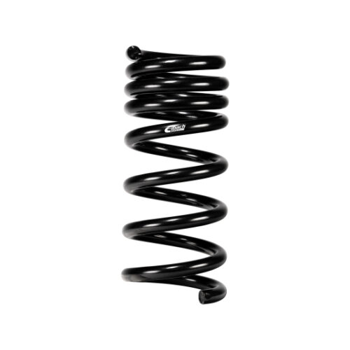Eibach 24+ Ford Mustang GT Coupe 5.0L RWD S650 Performance Pack w/ Magneride - Image 3