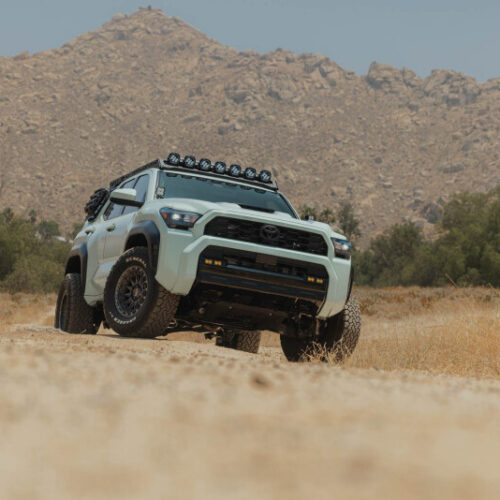 Alternative view of DV8 Offroad 25-26 Toyota 4Runner Exterior Window Molles (Use w/ PN dveRRTF3-02) - Passenger