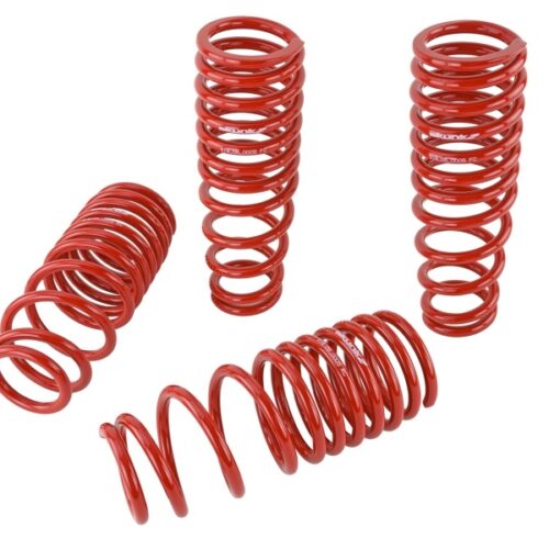 Alternative view of Skunk2 92-95 Honda Civic/Del Sol Lowering Springs (2.50in - 2.25in.) (Set of 4)
