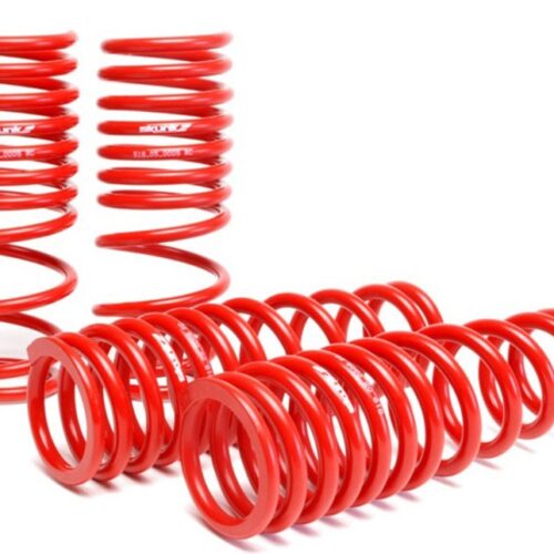 Skunk2 94-01 Acura Integra Lowering Springs (2.50in - 2.25in.) (Set of 4)